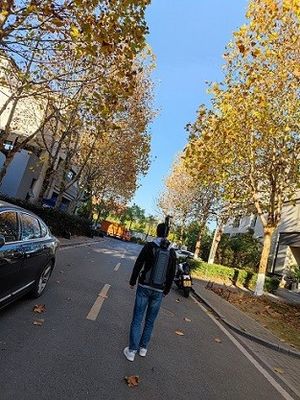 چند حالته 3 بعدی LiDAR HiSLAM برای بررسی منابع جنگل